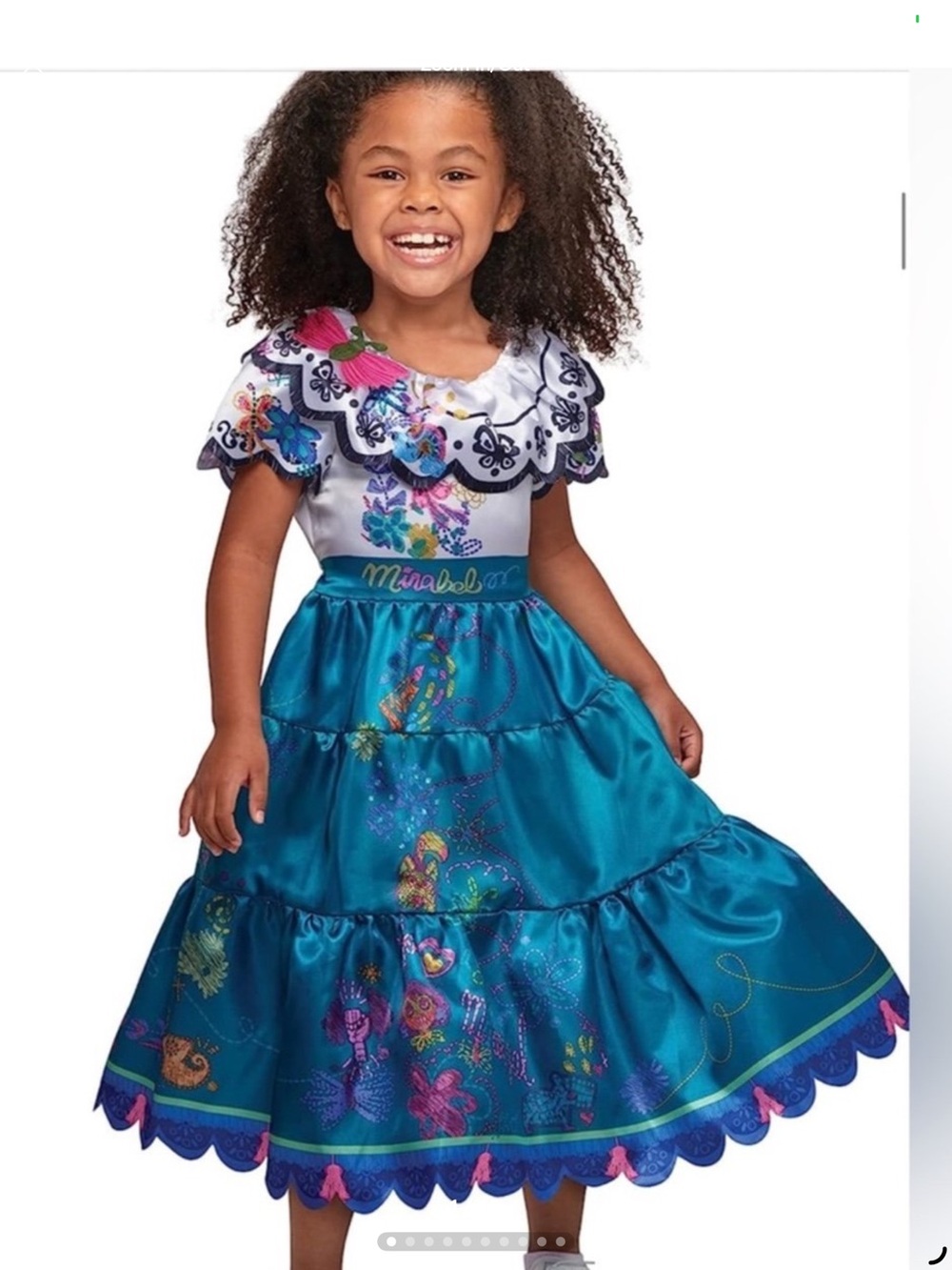 Disney Mirabel Blue Floral Kids Costume Dress